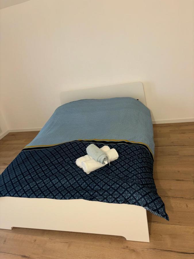 Ferienwohnung Duplex 6 Pers Neuf + Parking Mülhausen Exterior foto